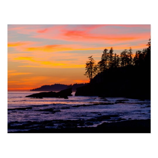 Canada, Pacific Rim National Park Reserve, West Postcard