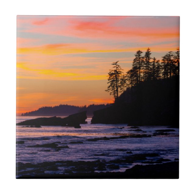 Canada, Pacific Rim National Park Reserve, West Tile (Front)