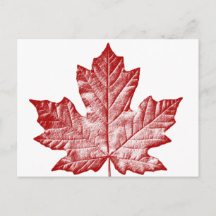 Canada Postcards Cool Canadian Souvenir Postcards