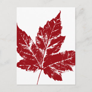 Canada Postcards Cool Canadian Souvenir Postcards