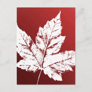 Canada Postcards Cool Canadian Souvenir Postcards