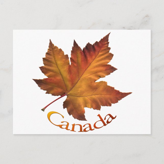 Canada Postcards Custom Canada Souvenir Postcards (Front)
