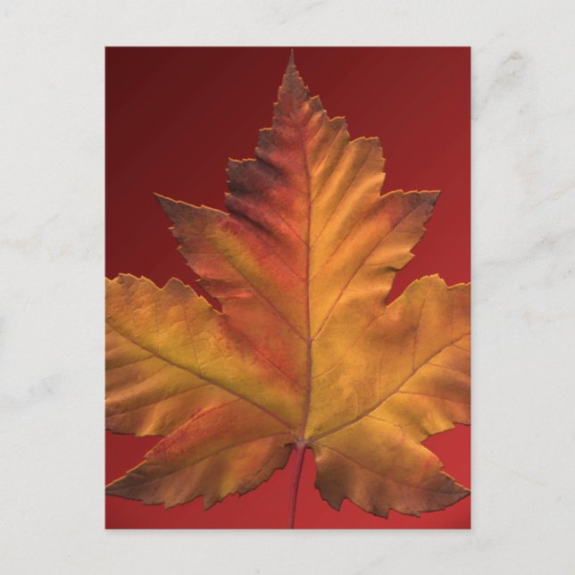 Canada Postcards Custom Canada Souvenir Postcards (Front)