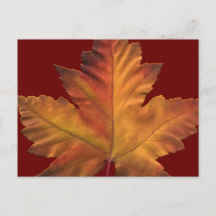 Canada Postcards Custom Canada Souvenir Postcards