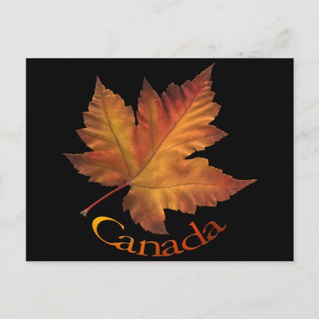Canada Postcards Custom Canada Souvenir Postcards (Front)