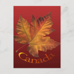 Canada Postcards Custom Canada Souvenir Postcards