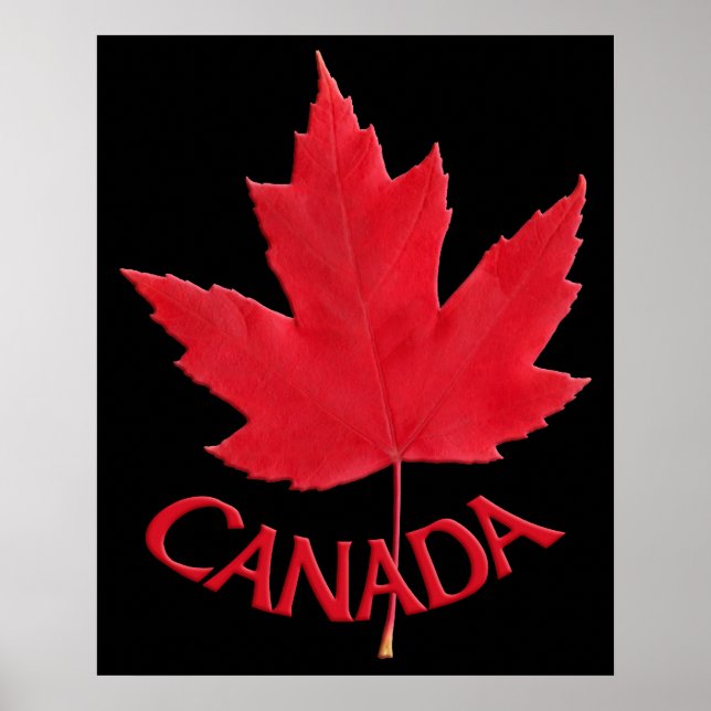 Canada Poster Canada Maple Leaf Souvenir Print (Front)