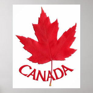 Canada Poster Canada Maple Leaf Souvenir Print