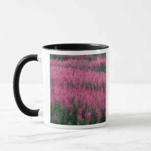 Canada, Quebec, Gaspe. Purple Lythrum Flowers, Mug