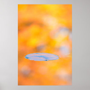 Canada, Quebec   Mount St-Bruno Conservation Park Poster