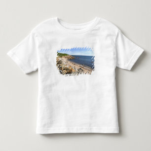 Canada, Quebec. VIA Rail Canada train The 2 Toddler T-Shirt