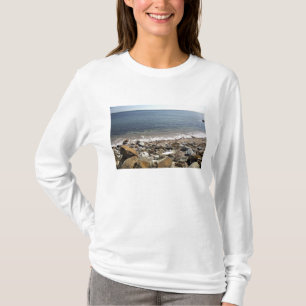 Canada, Quebec. VIA Rail Canada train The T-Shirt
