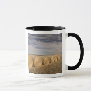 Canada, Saskatchewan, Craik: Hayrolls / Autumn Mug