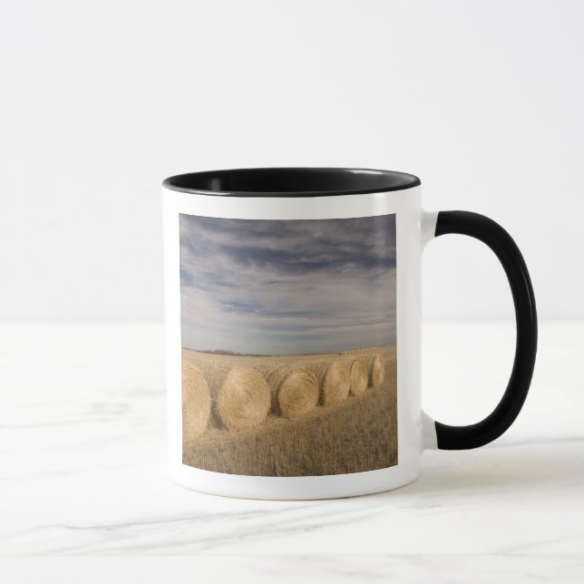 Canada, Saskatchewan, Craik: Hayrolls / Autumn Mug (Right)