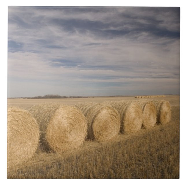 Canada, Saskatchewan, Craik: Hayrolls / Autumn Tile (Front)