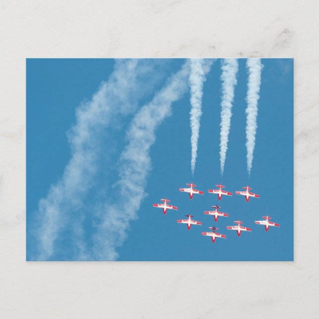 Canada Snowbirds Postcard (Front)
