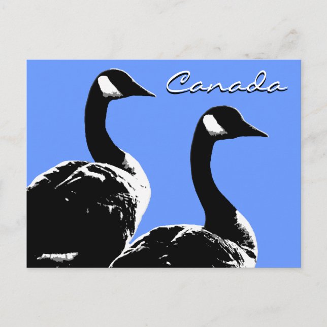 Canada Souvenir Postcards Canada Geese Cards (Front)