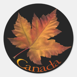 Canada Souvenir Stickers Maple Leaf Canada Sticker