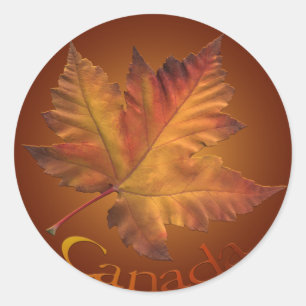 Canada Souvenir Stickers Maple Leaf Stickers