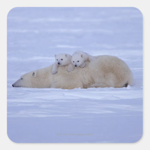 Canada Square Sticker