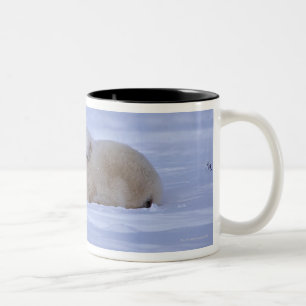Canada Two-Tone Coffee Mug