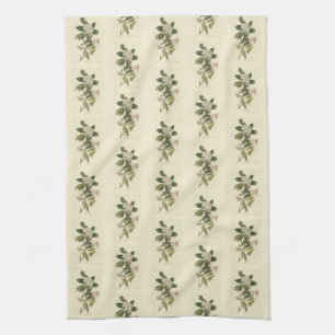 Canada Warbler from Audubon's Birds of America Tea Towel