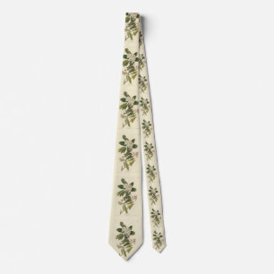 Canada Warbler from Audubon's Birds of America Tie