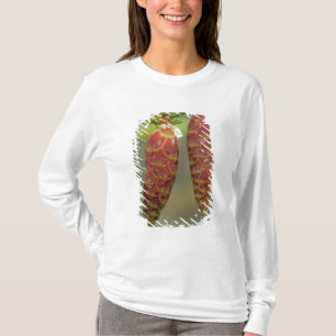 Canada, Yukon, Black Spruce Cones T-Shirt