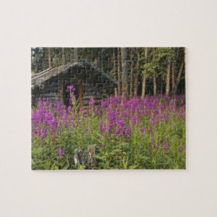 Canada, Yukon, Ross River area, Abandoned cabin Jigsaw Puzzle