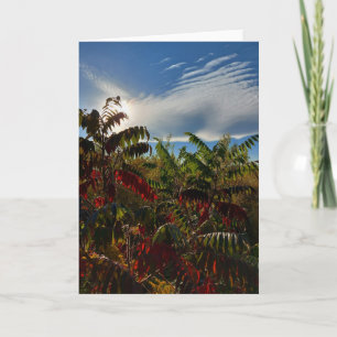 Canadian Autumn Colours Blank Card