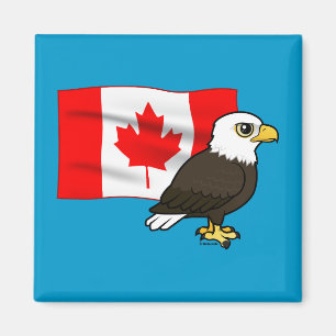 Canadian Bald Eagle Magnet