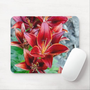 Canadian Beauty: Red Stargazer Lily Photography Mouse Mat