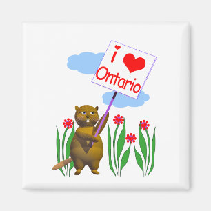 Canadian Beaver Loves Ontario Magnet