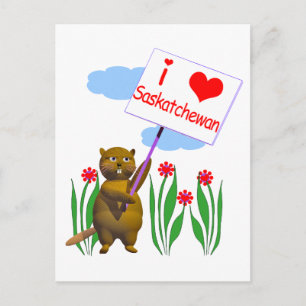 Canadian Beaver Loves Saskatchewan Postcard
