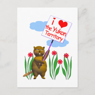 Canadian Beaver Loves the Yukon Postcard