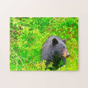 Canadian Brown Bears. Jigsaw Puzzle