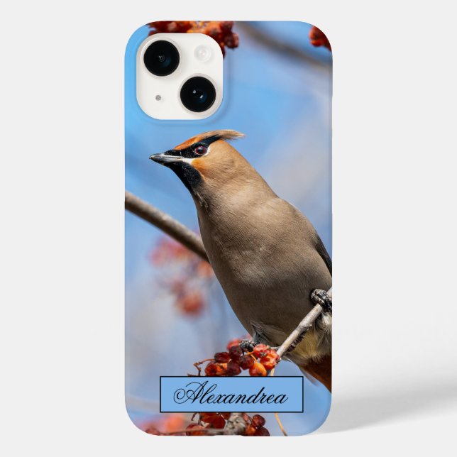 Canadian Brown Bohemian Waxwing Bird Photography Case-Mate iPhone Case (Back)