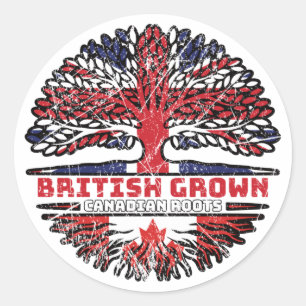 Canadian Canada Uk United Kingdom British Tree Classic Round Sticker