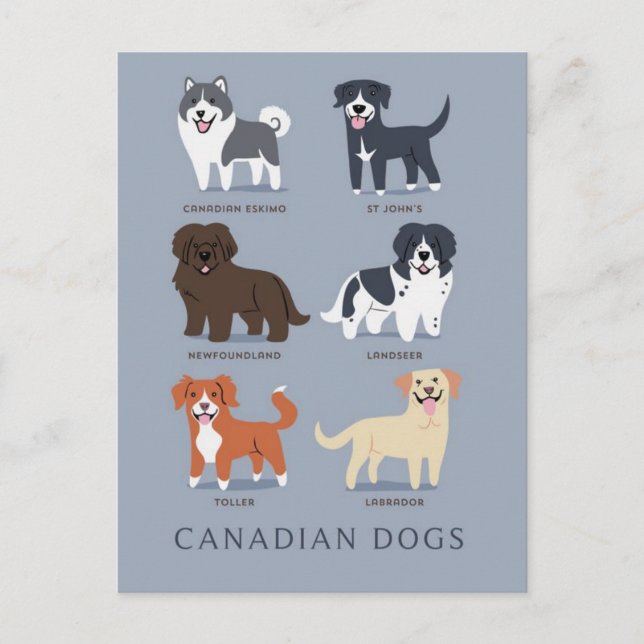 Canadian Dogs Postcard (Front)