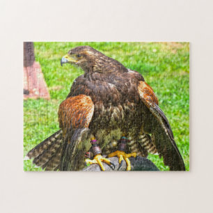 Canadian Eagles. Jigsaw Puzzle