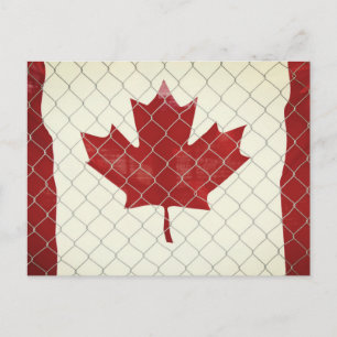 Canadian Flag. Chain Link Fence. Rustic. Cool. Postcard