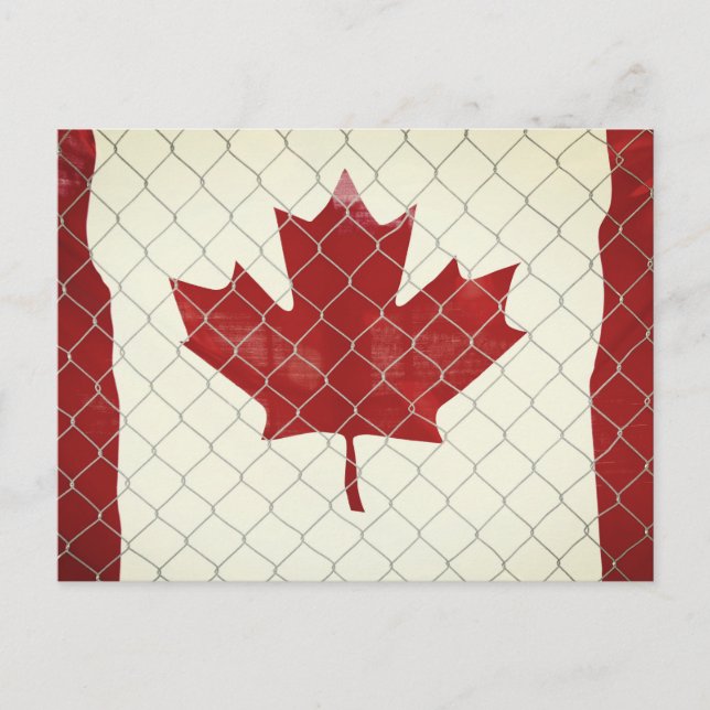 Canadian Flag. Chain Link Fence. Rustic. Cool.  Postcard (Front)