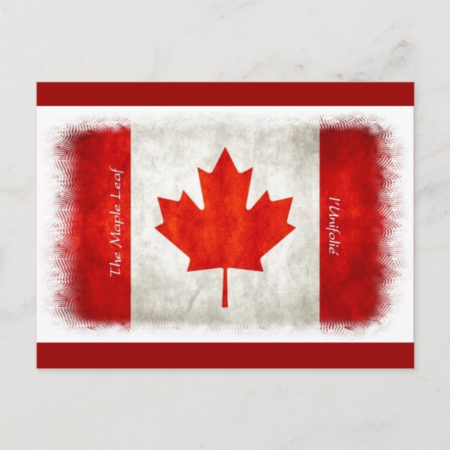 Canadian Flag Maple Leaf l'Unifolié   Postcard (Front)