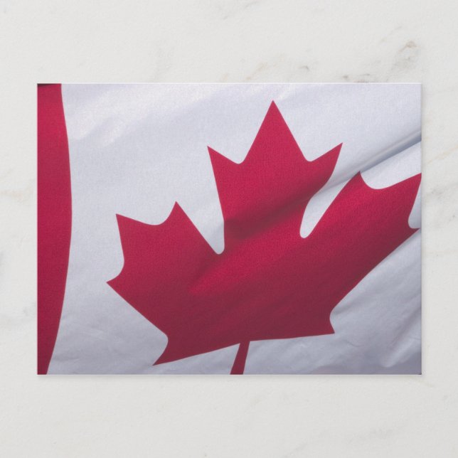 Canadian Flag. Postcard (Front)