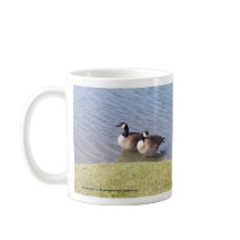 Canadian Geese along the Ottawa River