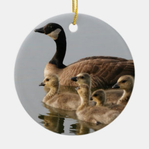 Canadian Geese Bird Lovers Gifts Ceramic Tree Decoration