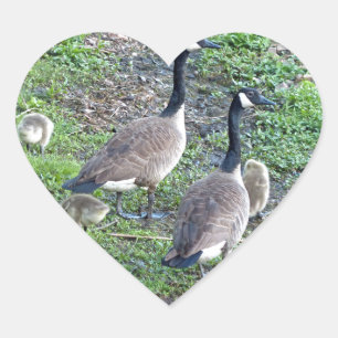 Canadian Geese Family Heart Sticker