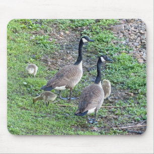 Canadian Geese Family Mouse Mat