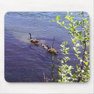 Canadian Geese Family Mouse Mat
