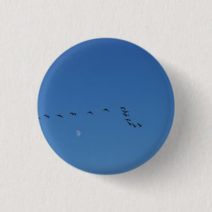 Canadian geese in flight 3 cm round badge